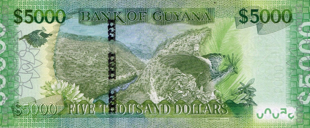 P40 Guyana 5000 Dollars (2014)